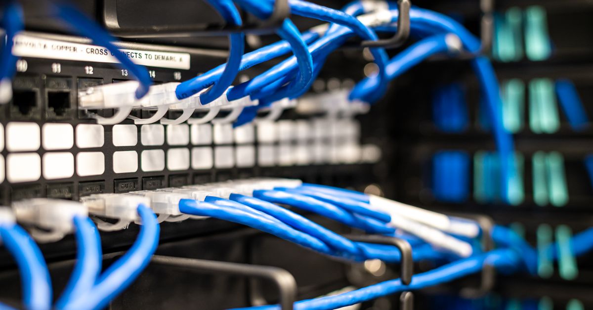 Blue plastic wires with white tips connected to server and provide access to information