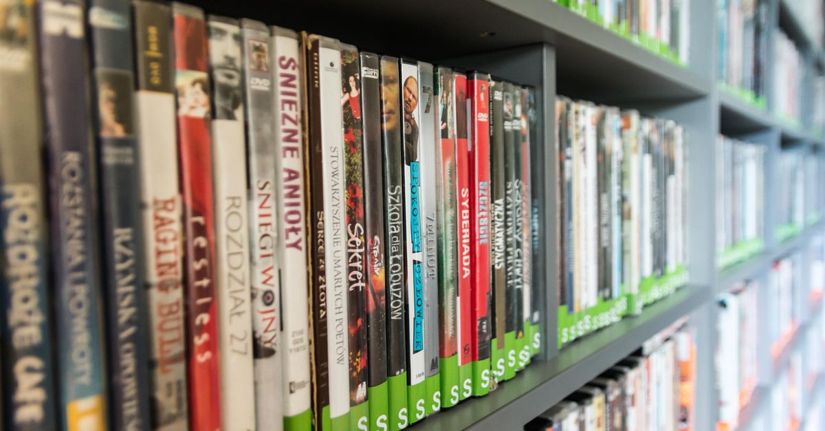 Close-up of a library shelf filled with DVDs showcasing various titles and colors.