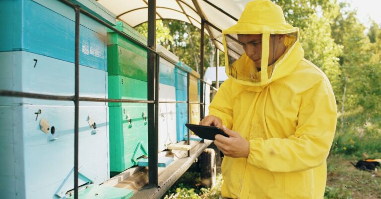 A beekeeper in a bright suit checking hives outdoors, ensuring bee health and productivity.