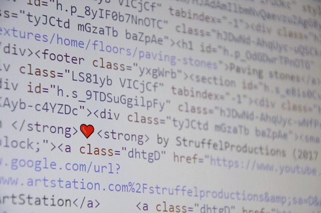 security practices plugin developers