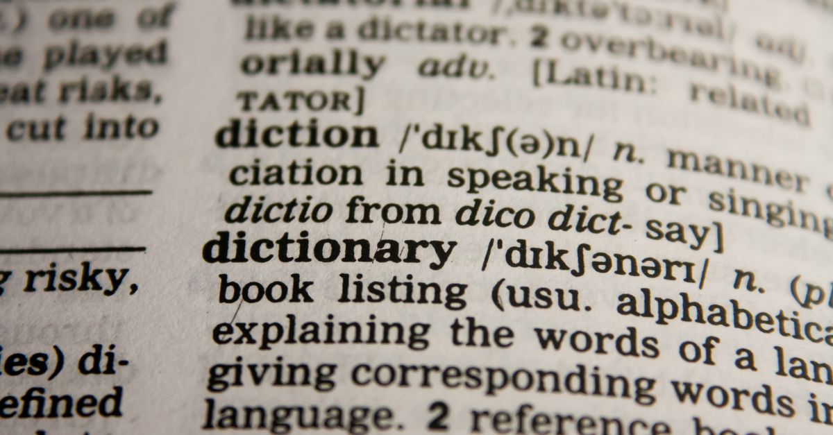 Detailed close-up view of a dictionary page highlighting the word 'dictionary' and its definition.